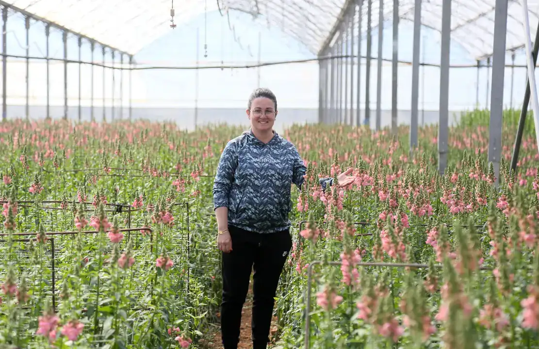 Aslanağzı Üretimiyle Avrupa Pazarına İlk Sevkiyat 3